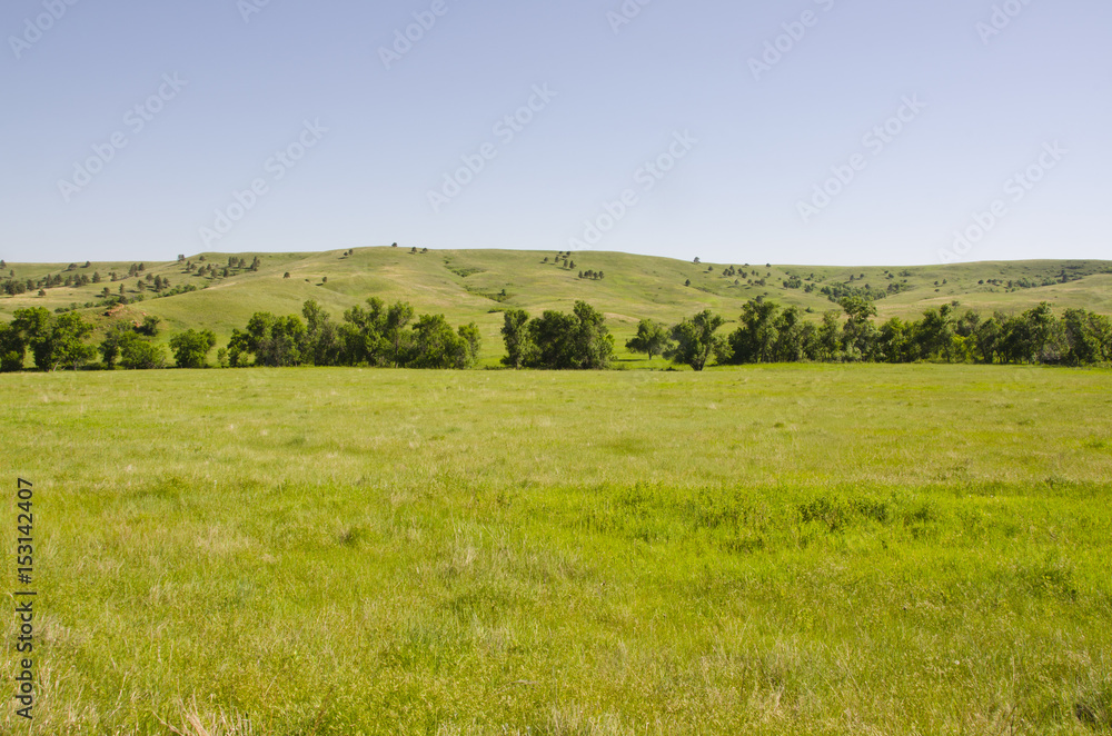 Rolling Hills of Custer State Park