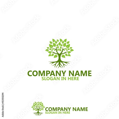 Nature Tree With Root Logo Template Design