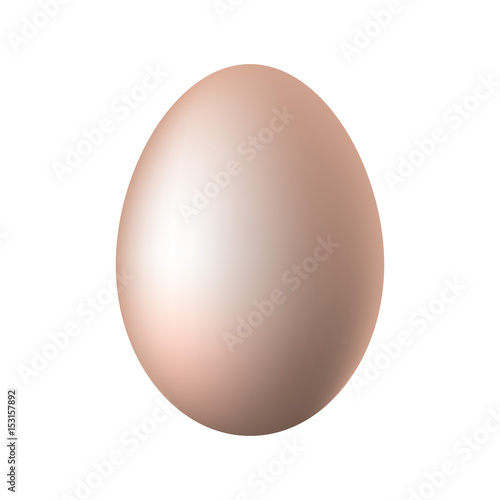 Egg on a white background. Vector illustration