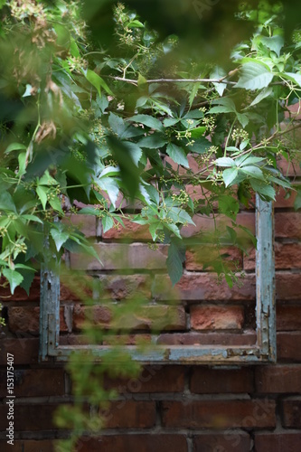 wooden frame on a brick wall in the garden