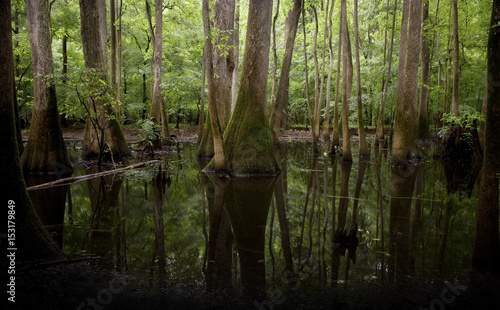 Congaree National Park