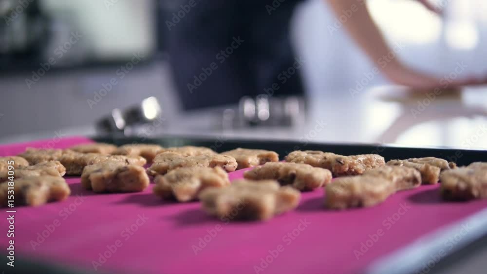 The close-up shooting of the prepared cookies. Steadicam. HD. The close-up shooting of the prepared cookies. Steadicam. HD.