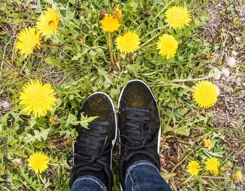 Yellow dandelions and shoes. Yellow pollen on a black shoes. Spring nature concept