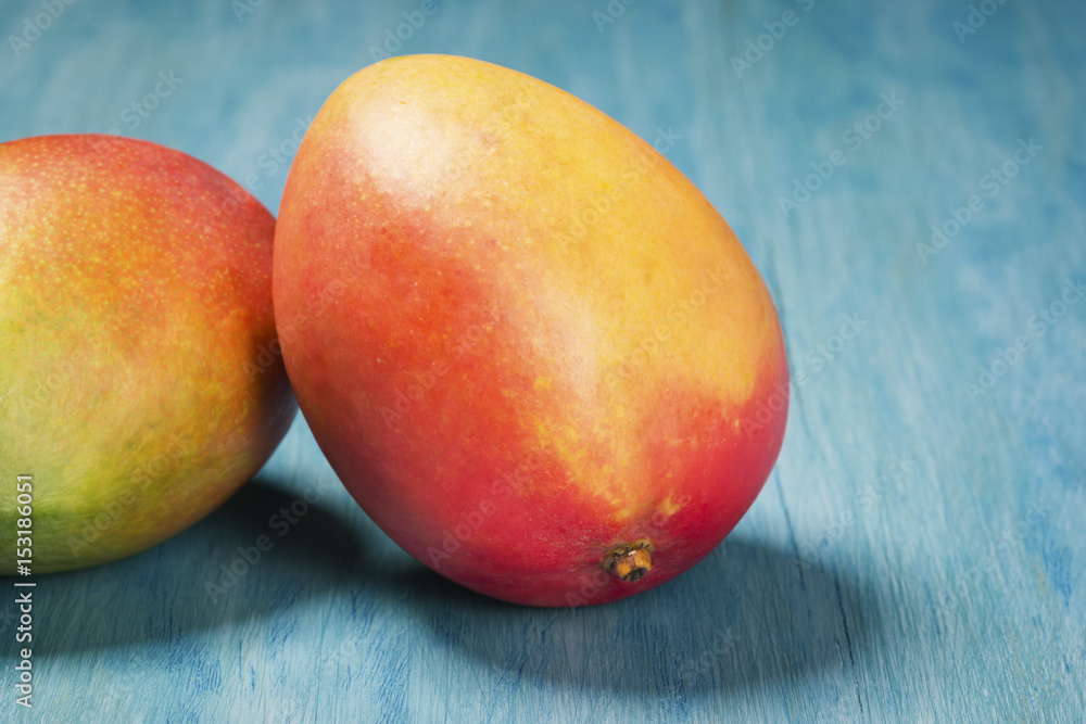 Two Ripe Mangoes on a Tropical Blue Background Two Ripe Mangoes on a Tropical Blue Background