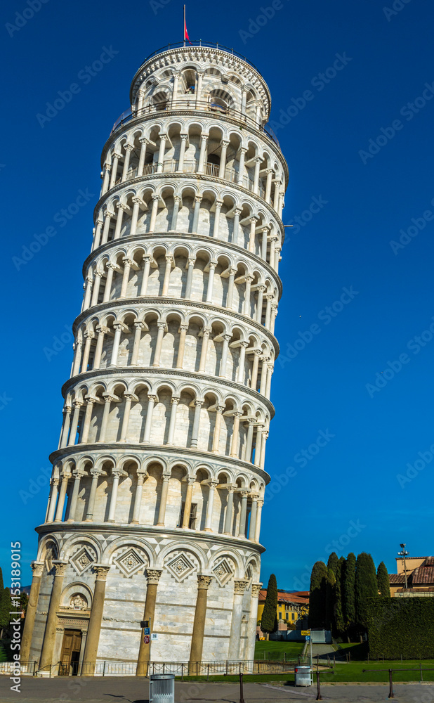 Pisa - Torre di Pisa 01