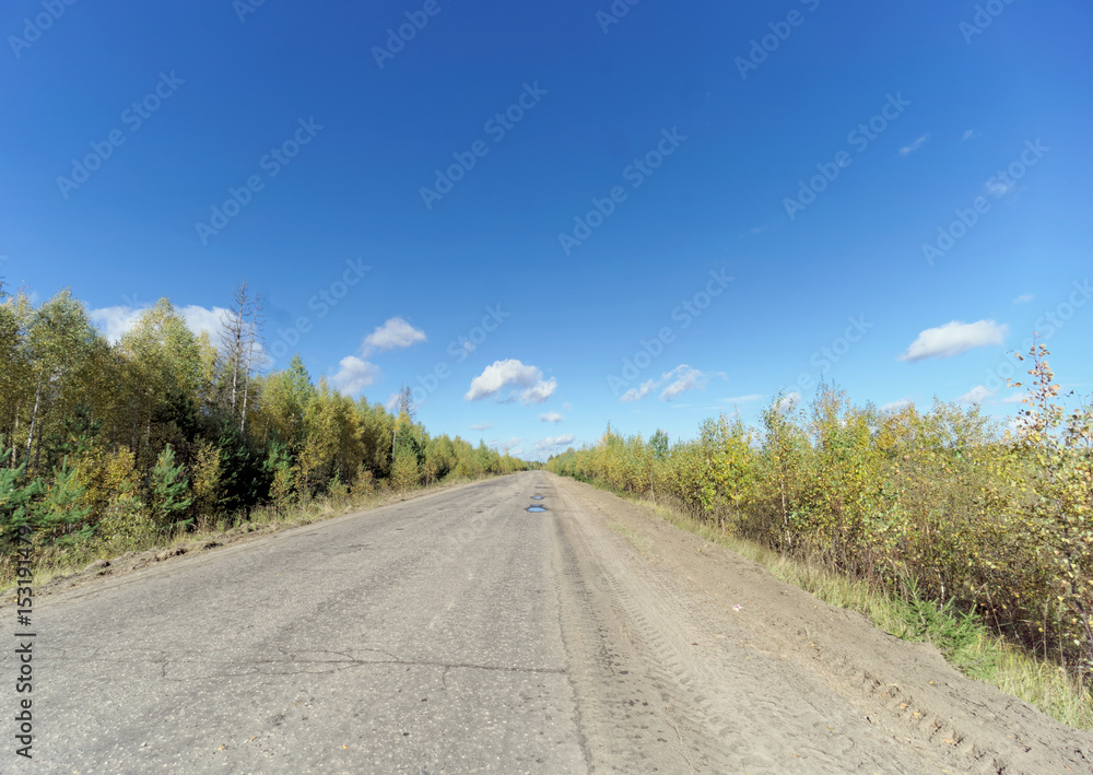 A country road in the autumn in the fields of Russia.