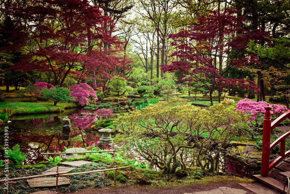 Beautiful Japanese garden in spring. Den Haag, Holland