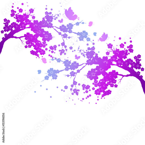 violet silhouete,flowers tree , on a white