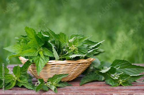 Photos Basket of fresh stinging nettle leaves on wooden table
