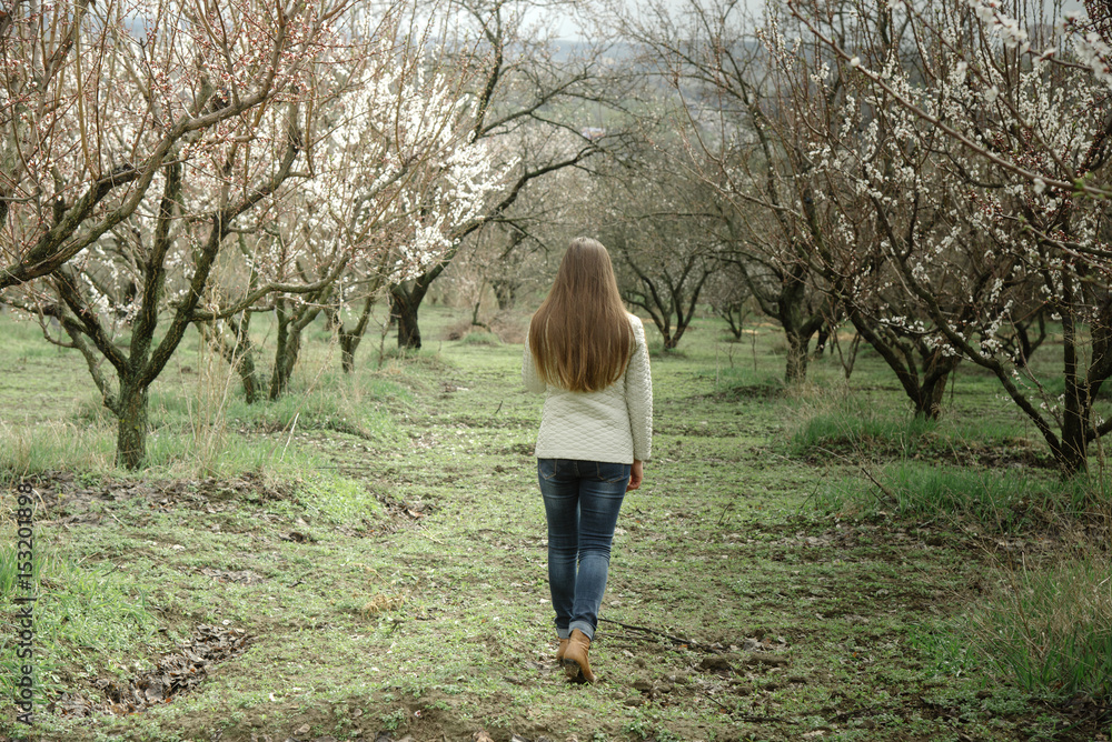 Woman in blooming spring apricot garden Woman in blooming spring apricot garden