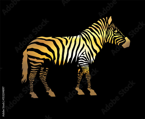 Zebra silhouette. Yellow tones of stripes. Black background.