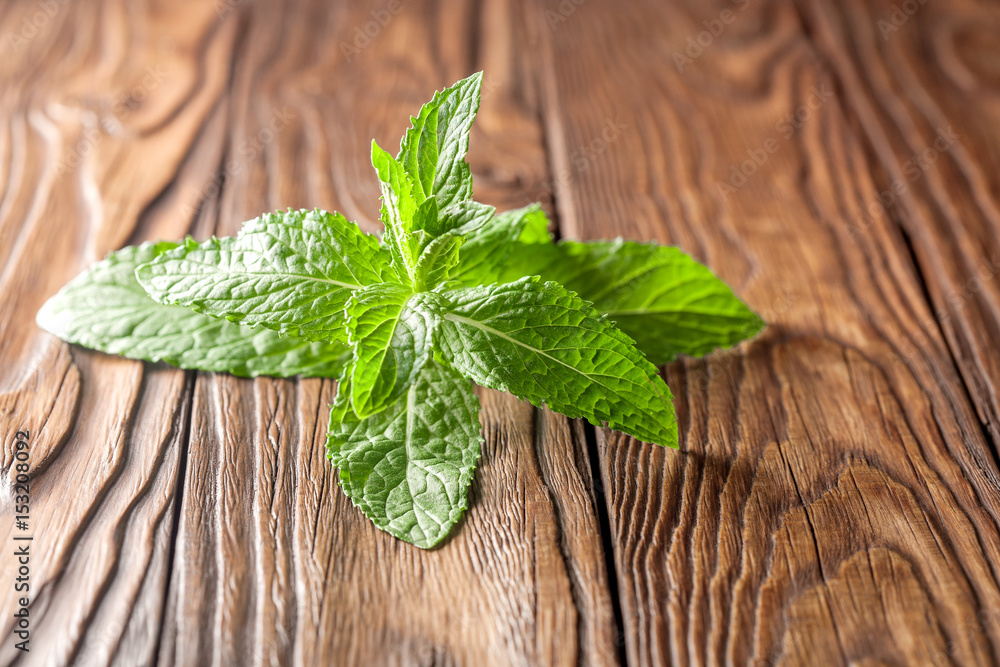 small sprig of mint on a wooden background small sprig of mint on a wooden background