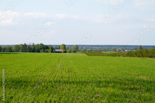 A landscape of fields and trees