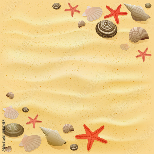 Sandy background with starfish and seashells