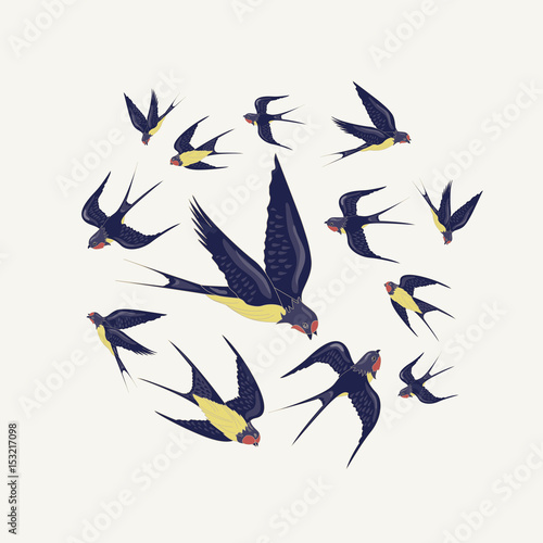 Wreath of flying birds. Swallows. Decorative element for textile design, manufacturing, book covers, wallpapers, print or gift wrap, postcard. Vector illustration