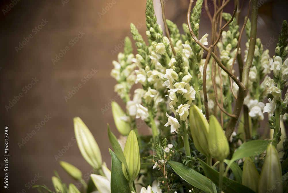 Obraz premium Flower arrangment