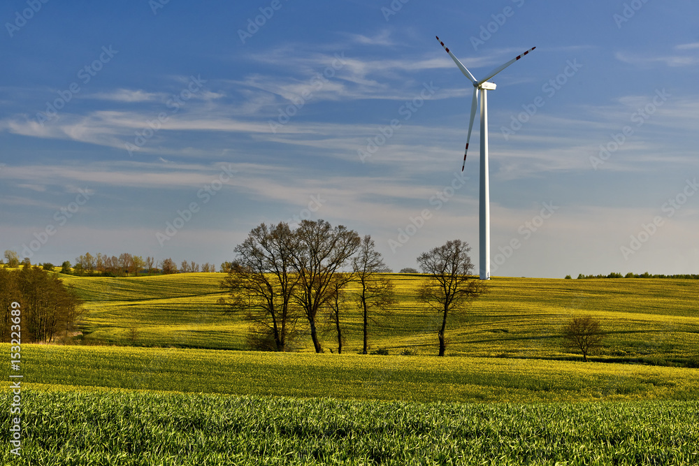 Spring time, Poland around the town of Sztum - Panorama Spring time, Poland around the town of Sztum - Panorama