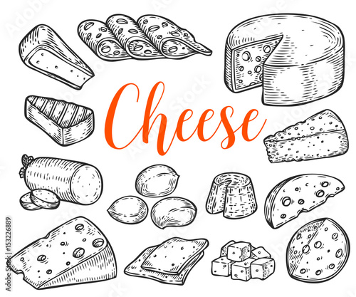 Cheese organic milk butter fresh food vector hand drawn illustration set, menu label, banner poster identity, branding. Stylish design with sketch illustration of Cheese variations cuisine sketch.