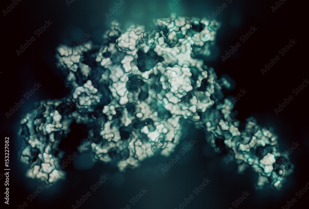 Integrin alpha-4 beta 7 (a4b7, headpiece). Cell surface protein complex that plays a role in directing T lymphocytes to the gut. 3D rendering based on protein data bank entry 3v4v. Integrin alpha-4 beta 7 (a4b7, headpiece). Cell surface protein complex that plays a role in directing T lymphocytes to the gut. 3D rendering based on protein data bank entry 3v4v.
