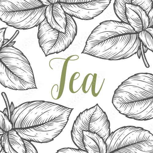 Organic green white black tea cup leaf, bean vector hand drawn template packaging cosmetic, label, banner, poster, identity, branding. Stylish design with sketch illustration of tea sketch.