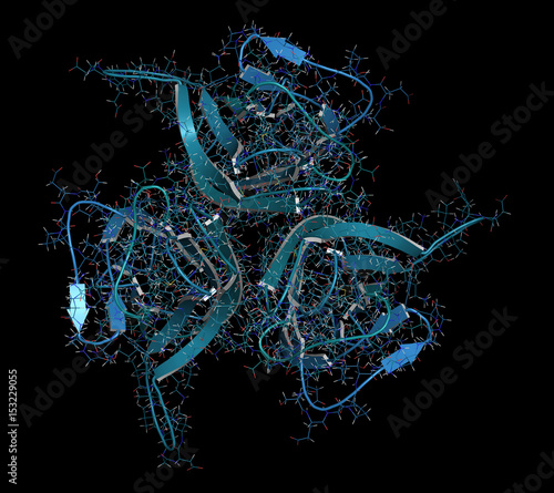 B-cell activating factor (BAFF, extracellular domain fragment) protein. Cytokine that acts as B cell activator. Target of the monoclonal antibody drug belimumab.  photo