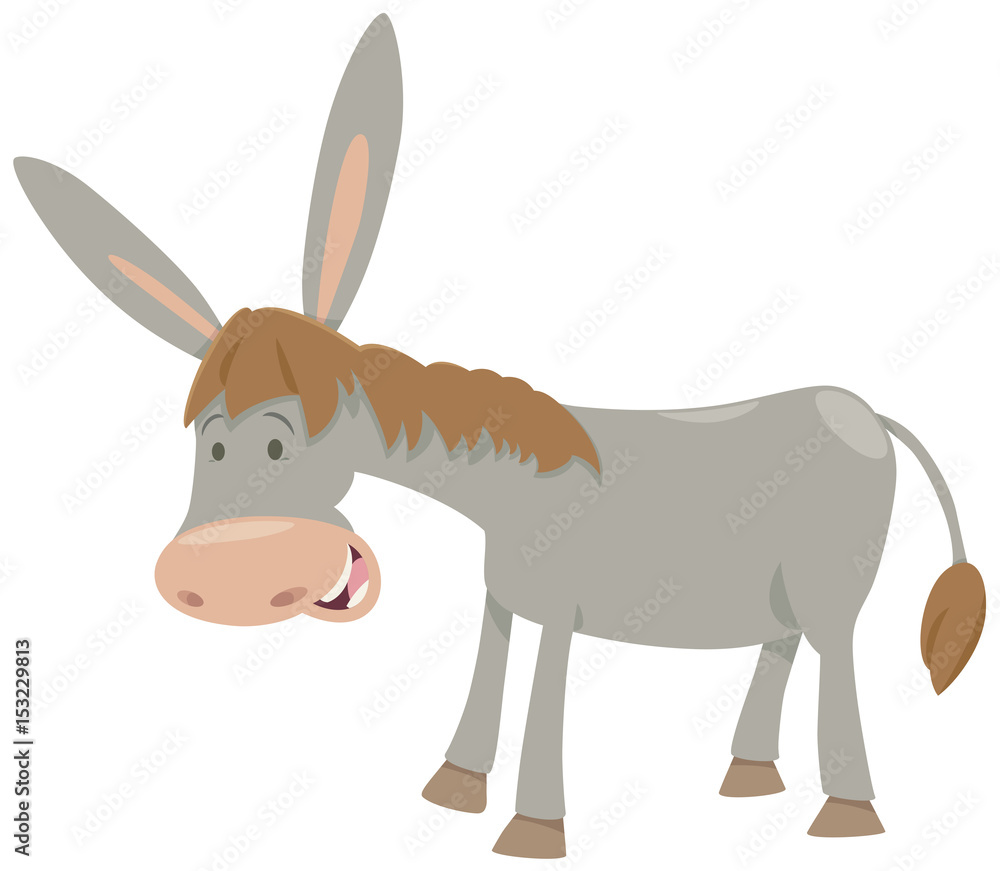 donkey farm animal donkey farm animal