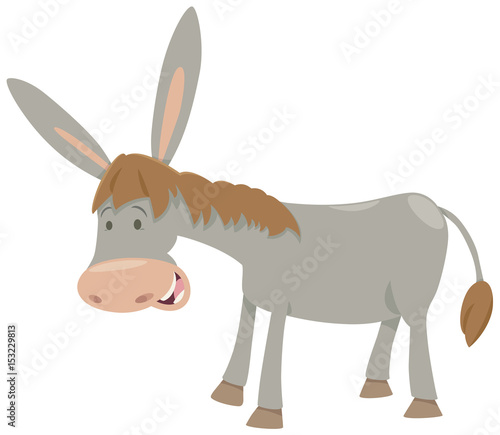 donkey farm animal