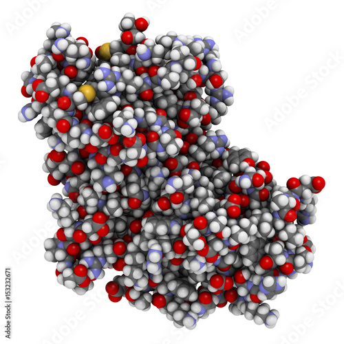 Cyclin-dependent kinase 6 (CDK6) bound to the inhibitor ribociclib. Enzyme involved in cell cycle regulation and target of several antitumoral drugs. 