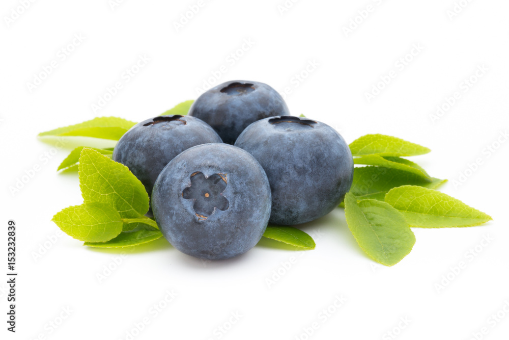 Fresh blueberries on a white background. Fresh blueberries on a white background.