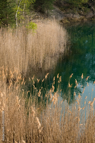 Quadro su tela Beautiful lake of extraordinary color hidden in the forest