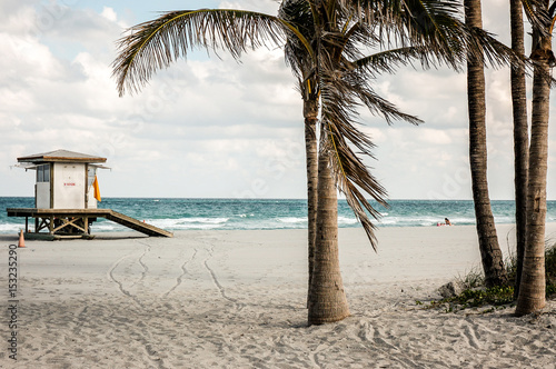 Fototapeta Naklejka Na Ścianę i Meble -  beautiful beach, palm trees 
