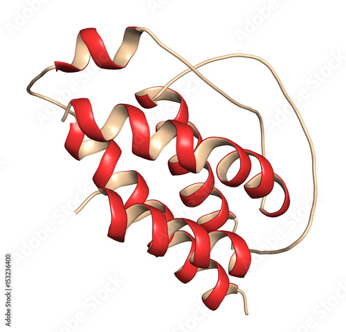 Fotografija Interleukin 2 (IL-2) cytokine protein