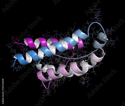 Interleukin 2 (IL-2) cytokine protein. Aldesleukin is a recombinant analog of IL-2 that is used in the treatment of cancer. 3D rendering based on protein data bank entry 1z92. photo