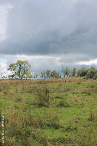 scotland hill sky foliage  near loch lomond