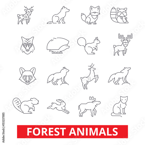 Forest animals, elk, wolf, fox, rabbit, squirrel, hedgehog, hunting deer, bear line icons. Editable strokes. Flat design vector illustration symbol concept. Linear signs isolated on white background