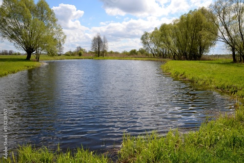 Grass and trees on the lake shore and blue sky