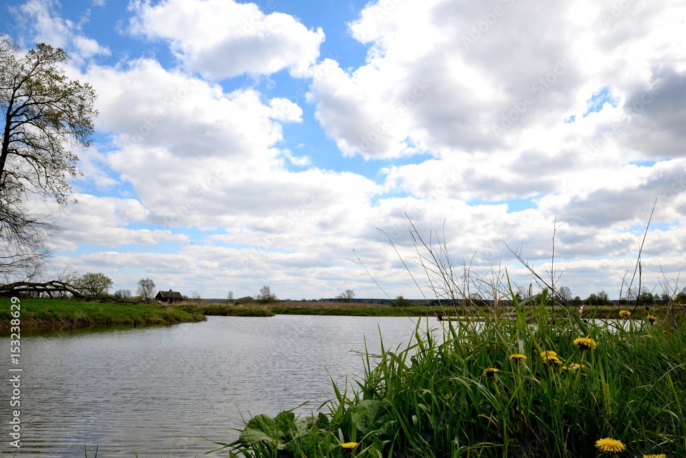 Grass and dairy on the lake shore and blue sky