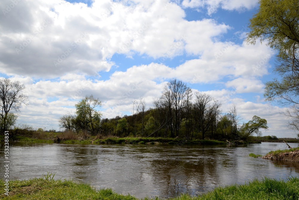 A tree above the river bend and the blue sky