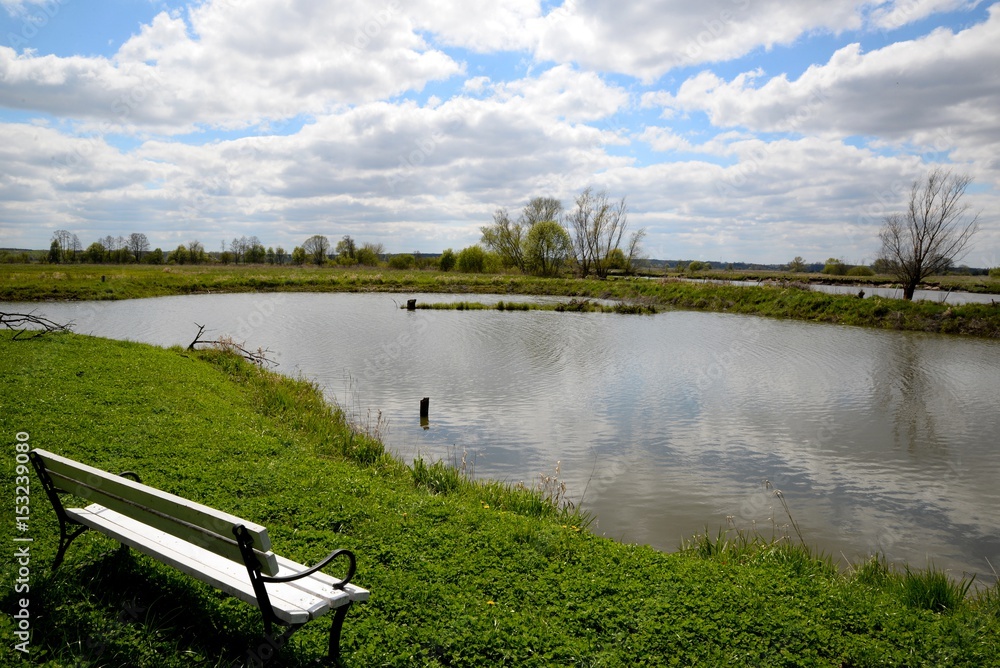 White bench on the shore of the lake and blue sky