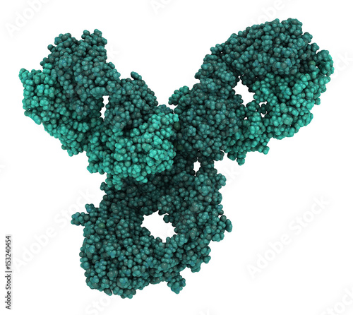 Pembrolizumab monoclonal antibody drug protein. Immune checkpoint inhibitor targetting PD-1, used in the treatment of a number of cancers. 3D rendering based on protein data bank entry 5dk3. photo