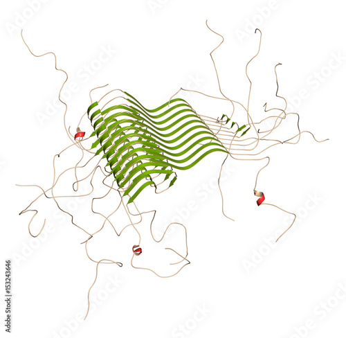 Alpha-synuclein fibril structure, determined by solid-state NMR. Thought to play a role in diseases including Parkinson's disease and dementia with Lewy bodies. photo