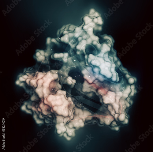 Thaumatin sweetener protein. Isolated from katemfe fruit. 3D rendering based on protein data bank entry 5lh7. photo