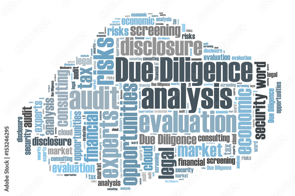 Obraz premium Due Diligence word cloud