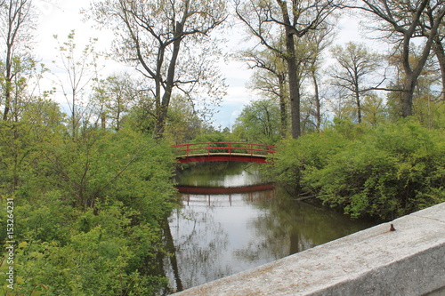 Bridge Reflection