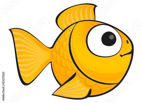 Golden fish isolated. Vector aquarium fish silhouette illustration. Colorful cartoon flat aquarium fish icon for your design.