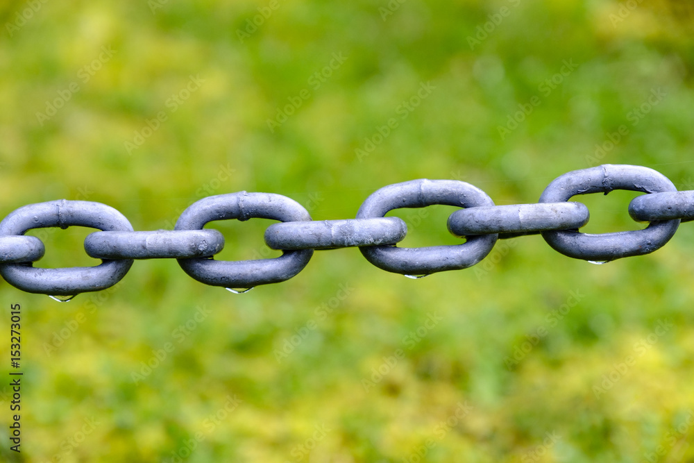 Wet metal chain against greenery Wet metal chain against greenery