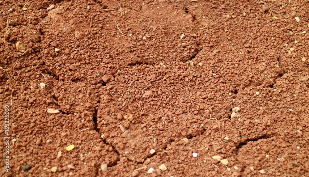 Dry soil for background or textures.