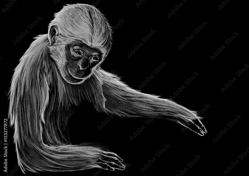Fototapeta premium Monkey. Concept Illustration, Abstract Clip Art. 