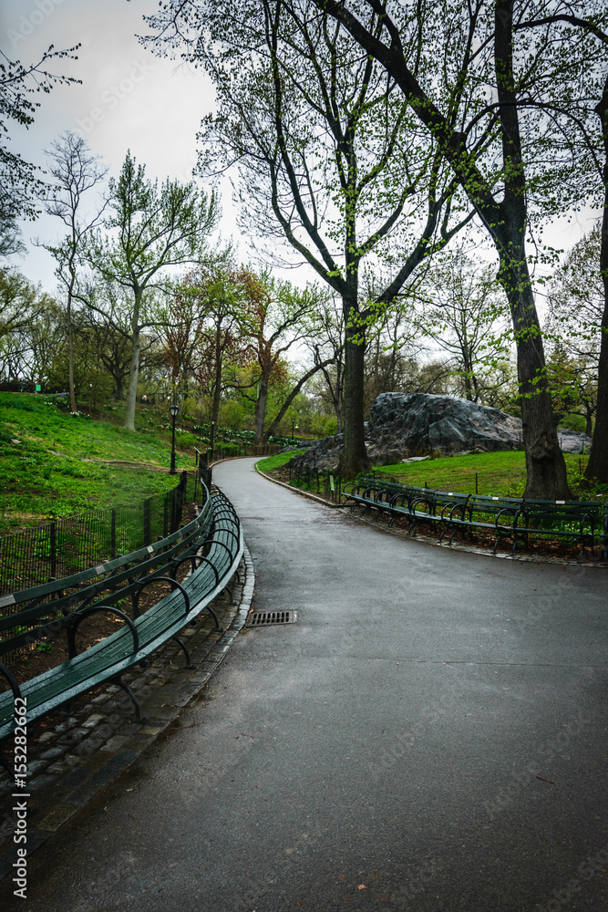 Early Spring Walking Path through Central Park, New York, USA