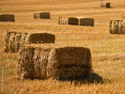 Straw bales background photo